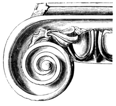 volute